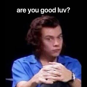 Meet your Posher, Jane ann